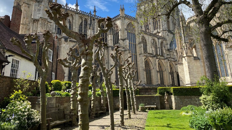 Looking along a pollarded plane tree avenue towards a grand Minster